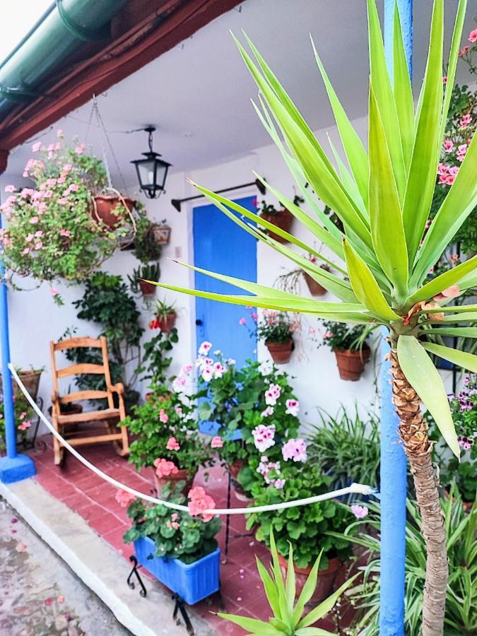 Apartamento Alcazar San Basilio Kordoba Bagian luar foto