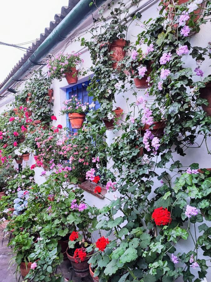 Apartamento Alcazar San Basilio Kordoba Bagian luar foto