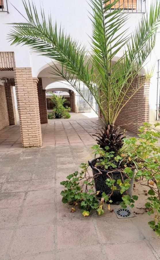 Apartamento Alcazar San Basilio Kordoba Bagian luar foto